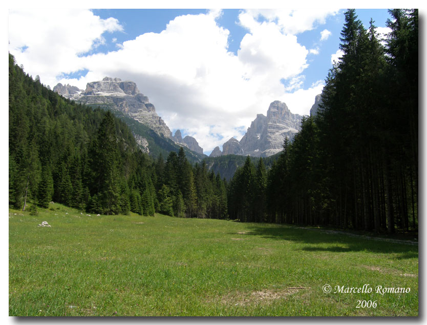 Insetti del Parco Adamello Brenta (TN): immagini e appunti